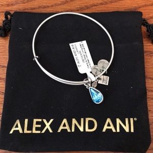 Alex and Ani Living Water Charm Bangle